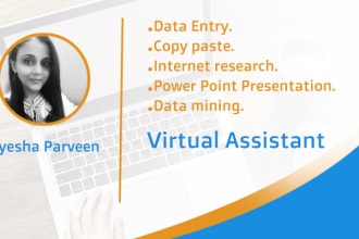 be your virtual assistant for web research  and data entry