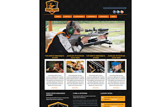 create a professional wordpress theme