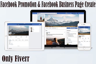 do professional facebook marketing and business  promotion