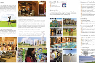 design a professional flyer and brochures for your business