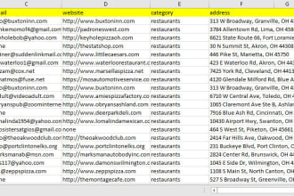 do all data scraping of  yellow pages, business directory