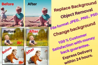 add,remove or replace background and any type of object