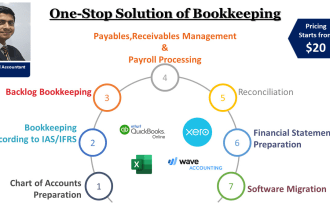 do expert bookkeeping and financial reporting in qb, xero