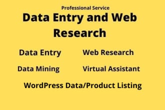 be your best virtual assistant for accurate data entry and admin tasks