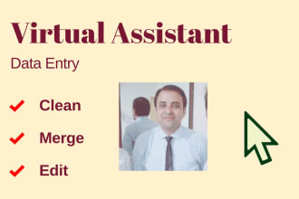 be ideal virtual assistant ,data entry,data mining