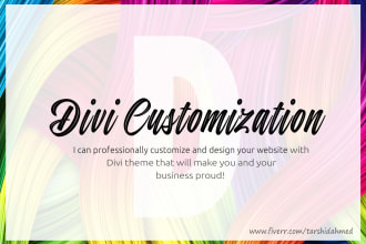 do divi theme customization at affordable cost