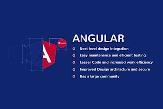 develop web app using angular and dot net