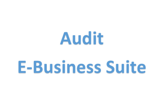 help in oracle ebs system audit