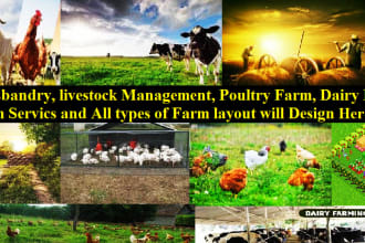 design your logo, poultry farm, dairy farm, livestock management,  business plan