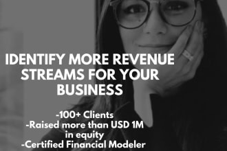 evaluate your financial model and business plan