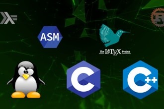 do any work in latex, c, cpp, assembly