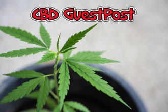do authority cbd dofollow guest post backlink