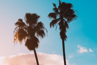 compose lofi beats for studying or relaxing
