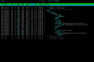 configure your VPS or Dedicated for your Hosting
