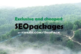 seo your website by an exclusive packages with directory submission, profile backlinks, seoreport and alexa rankings
