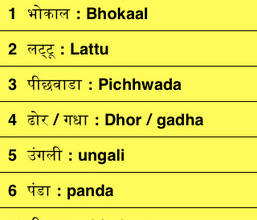 help you in giving slangs in hindi language