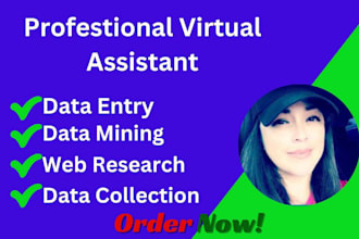 do data entry, web research, typing, copy paste, data mining or web scraping