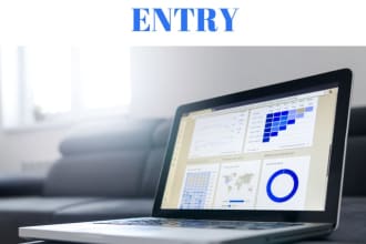 do data entry, create professional excel spreadsheets and  charts