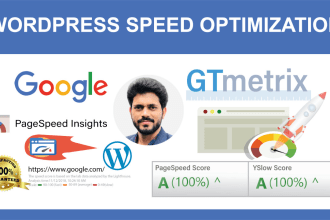 do wordpress speed optimization, website speed, pagespeed, google page speed