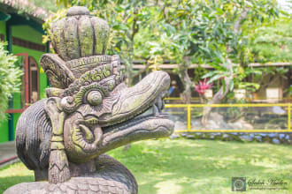 send dragon, naga, naka spirit for your personal spirit