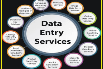 data entry paper typing word excel work PDF e books all kind