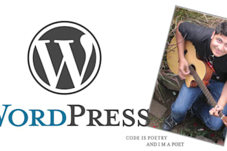 customize or fix your WordPress website [Contact before order]