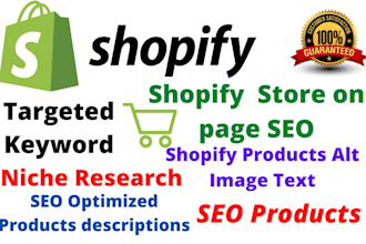 be your expert  shopify virtual assistant
