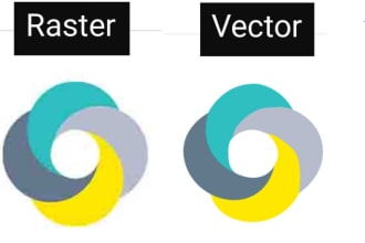 convert image to vector professionally