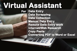 be your data entry expert for your data needs, typist job