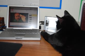 watch youtube videos and give short summaries