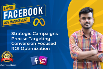 setup facebook ads campaign and manage meta ads as a fb ads manager
