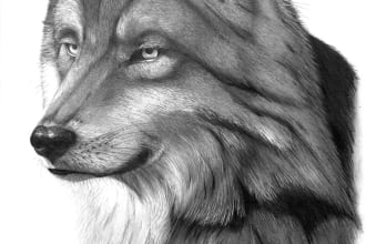 draw hand drawing pencil portrait of your favorite animal
