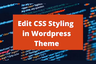 do CSS style editing and fixes for your wordpress website