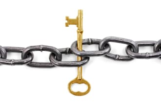 provide 1000 backlink