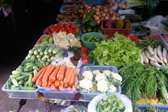 solve all your food related queries write you a delicious recipe or fix a recipe