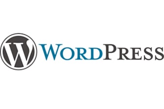 modify your wordpress blog/website as per your needs