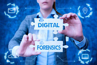 do digital forensic, investigation, and cyber security