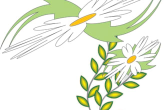 design creative loge