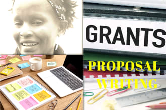 write a nonprofit or business grant  proposal for you