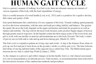 write any article on health and fitness