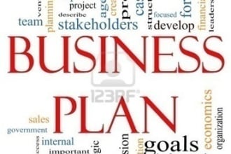 write your Business Plan using what I learned in Finance and Law School