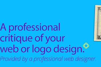 professionally review and critique your web or logo design
