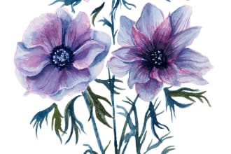 draw any  floral, animal or botanical art illustration