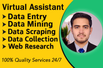 be your virtual assistant for data entry and web research