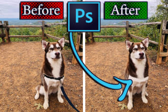 edit out your pets leash collar or harness with photoshop
