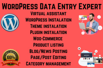 do professional wordpress data entry
