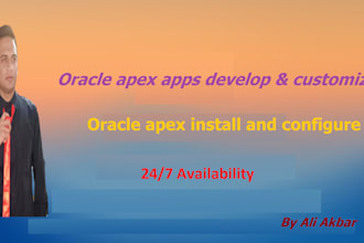 create oracle apex application and customize