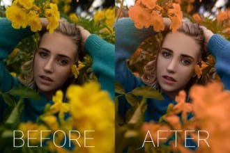 replace the background or retouch, cut out or photoshop editing