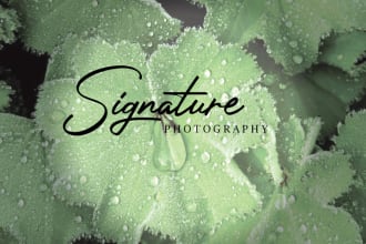 design a  creative photographic signature logo