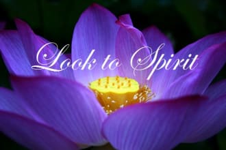 give you a live online psychic reading